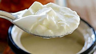 Fruits at Night: రాత్రిపూట పండ్లను మాత్రమే తింటే జరిగేది ఇదే.. డోంట్ మిస్!