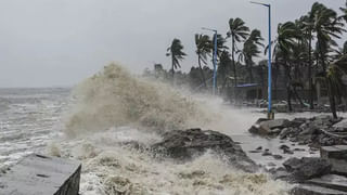AP News: ఆహా.. ఏపీలో కేజీ చేపలు 10 రూపాయలకే.. లేట్ చేయకండి..