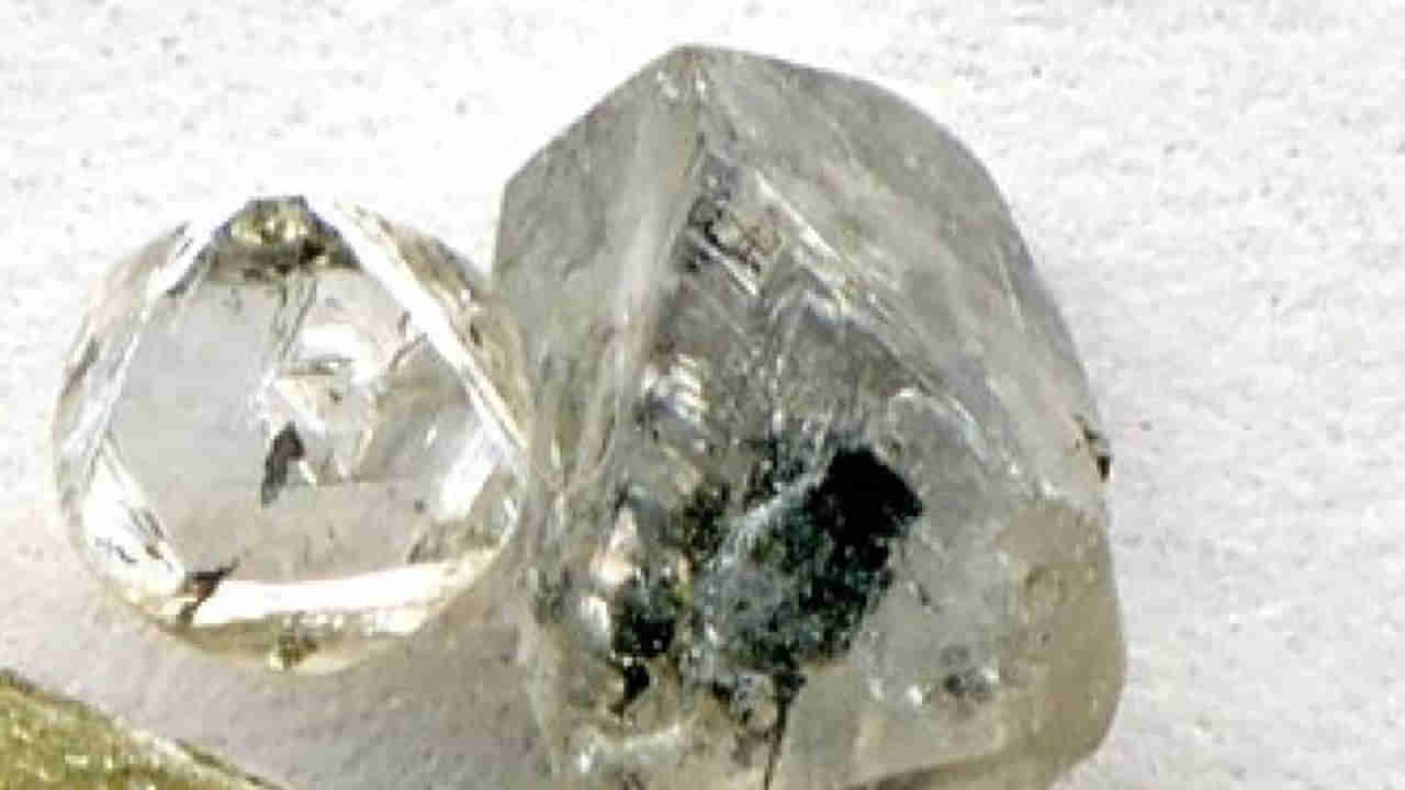 AP News: పొలానికి వెళ్లిన రైతుకు కలిసొచ్చిన లక్.. ఒక్కసారిగా లక్షాధికారి..