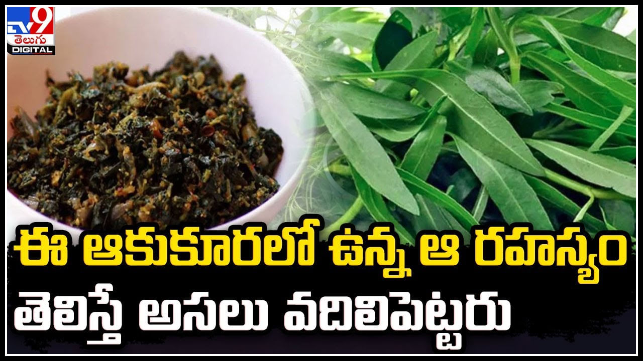 Ponnaganti Curry: ఈ ఆకుకూరలో ఉన్న ఆ రహస్యం తెలిస్తే అసలు వదిలిపెట్టరు..