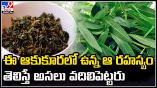 Pregnancy Care: ప్రెగ్నెంట్ సమయంలో మహిళలు ఈ జాగ్రత్తలు తప్పక తీసుకోవాలి.. నిపుణుల ముఖ్య సూచనలు