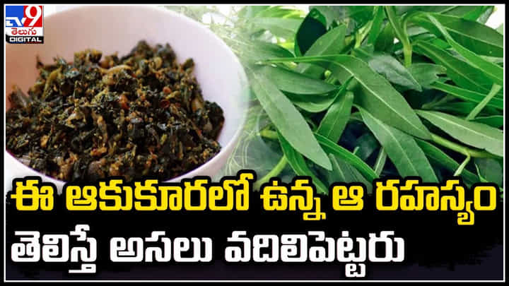 Ponnaganti Curry: ఈ ఆకుకూరలో ఉన్న ఆ రహస్యం తెలిస్తే అసలు వదిలిపెట్టరు.. Ponnaganti Curry: ఈ ఆకుకూరలో ఉన్న ఆ రహస్యం తెలిస్తే అసలు వదిలిపెట్టరు..
