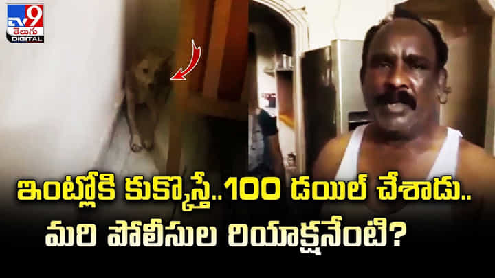 ఇంట్లోకి కుక్క వస్తే..100 డయిల్ చేశాడు.. మరి పోలీసుల రియాక్షనేంటి ?? ఇంట్లోకి కుక్క వస్తే..100 డయిల్ చేశాడు.. మరి పోలీసుల రియాక్షనేంటి ??