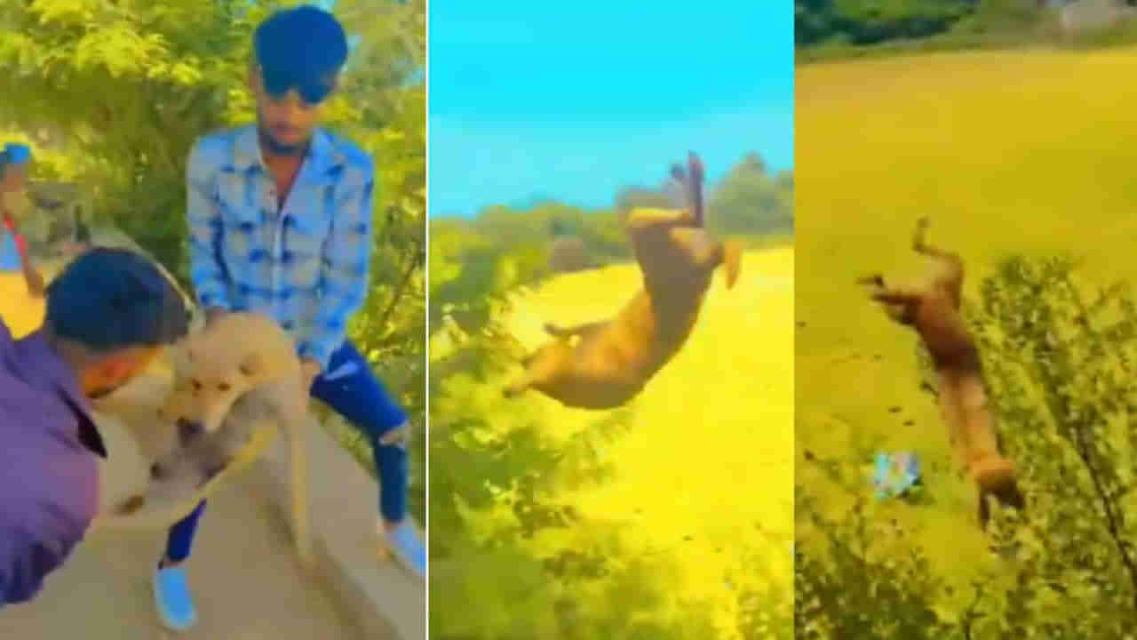 Viral Video: వీధి కుక్కపై యువకుల పైశాచికం.. ఏం చేసారో మీరే చూడండి...!!