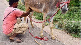 TDP: మౌనం దేనికి సంకేతం.? ఫ‌లితాల‌పై నోరు విప్పని టీడీపీ ముఖ్య నేత‌లు..