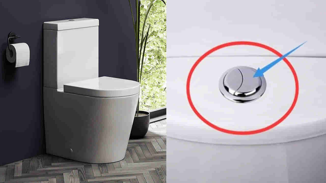 Dual Flush Toilets: టాయిలెట్స్‌లో ఫ్లష్‌ బటన్లు రెండు ఎందుకు ఉంటాయో తెలుసా? షాకింగ్ రీజన్ ఇదే