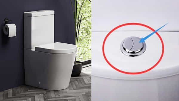 Dual Flush Toilets: టాయిలెట్స్లో ఫ్లష్ బటన్లు రెండు ఎందుకు ఉంటాయో తెలుసా? షాకింగ్ రీజన్ ఇదే