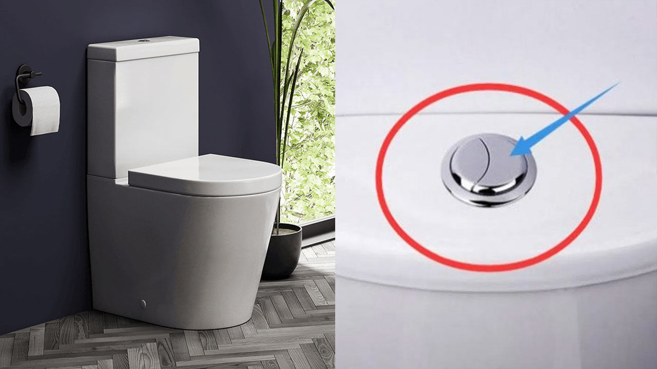 Dual Flush Toilets: టాయిలెట్స్లో ఫ్లష్ బటన్లు రెండు ఎందుకు ఉంటాయో తెలుసా? షాకింగ్ రీజన్ ఇదే