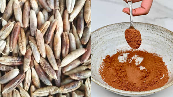 Date Seeds Benefits: వందల రోగాలను పోగొట్టే ఖర్జూరం.. విత్తనాలతో అద్దిరిపోయే లాభాలు.. ఇలా వాడితే
