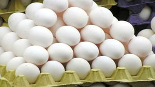 Telangana: లోక్ సభ ఎన్నికల్లో హోం ఓటింగ్, పోస్టల్ బ్యాలెట్ ప్రక్రియ షురూ..