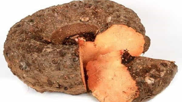 Elephant Yam: కంద దుంప లాభాల గురించి తెలిస్తే షాక్ అవుతారు..! వారంలో 2 సార్లు తింటే ఊహించని ఎన్నో ప్రయోజనాలు…