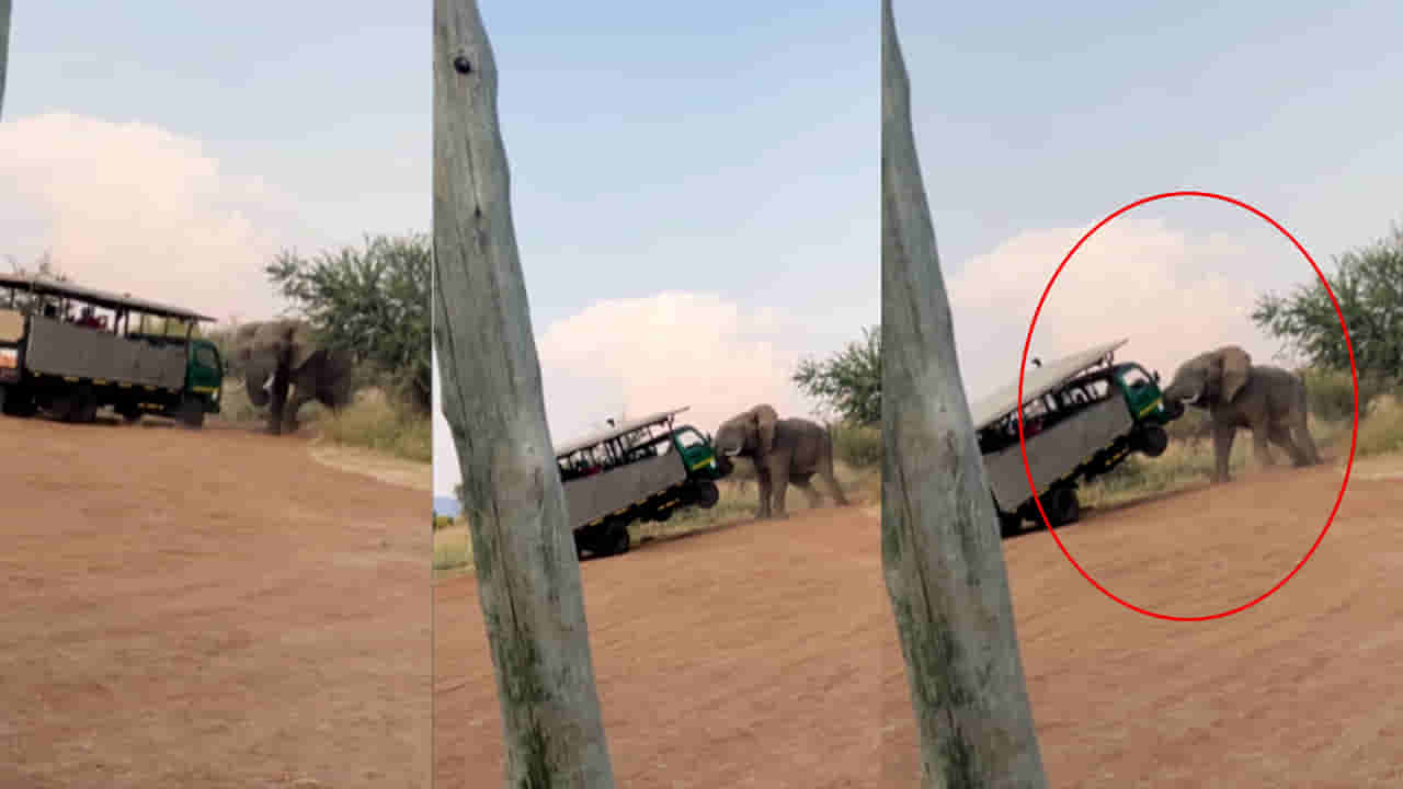 Viral Video: నువ్వు ఎవడైతే నాకేంటి..!! టూరిస్ట్లకు సుస్సు పోయించిన గజరాజు..