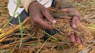 Warangal: అర్థరాత్రి ఆరు బయట నుంచి చప్పుళ్లు.. వెళ్లి చూడగా.. ఇదేం పని..