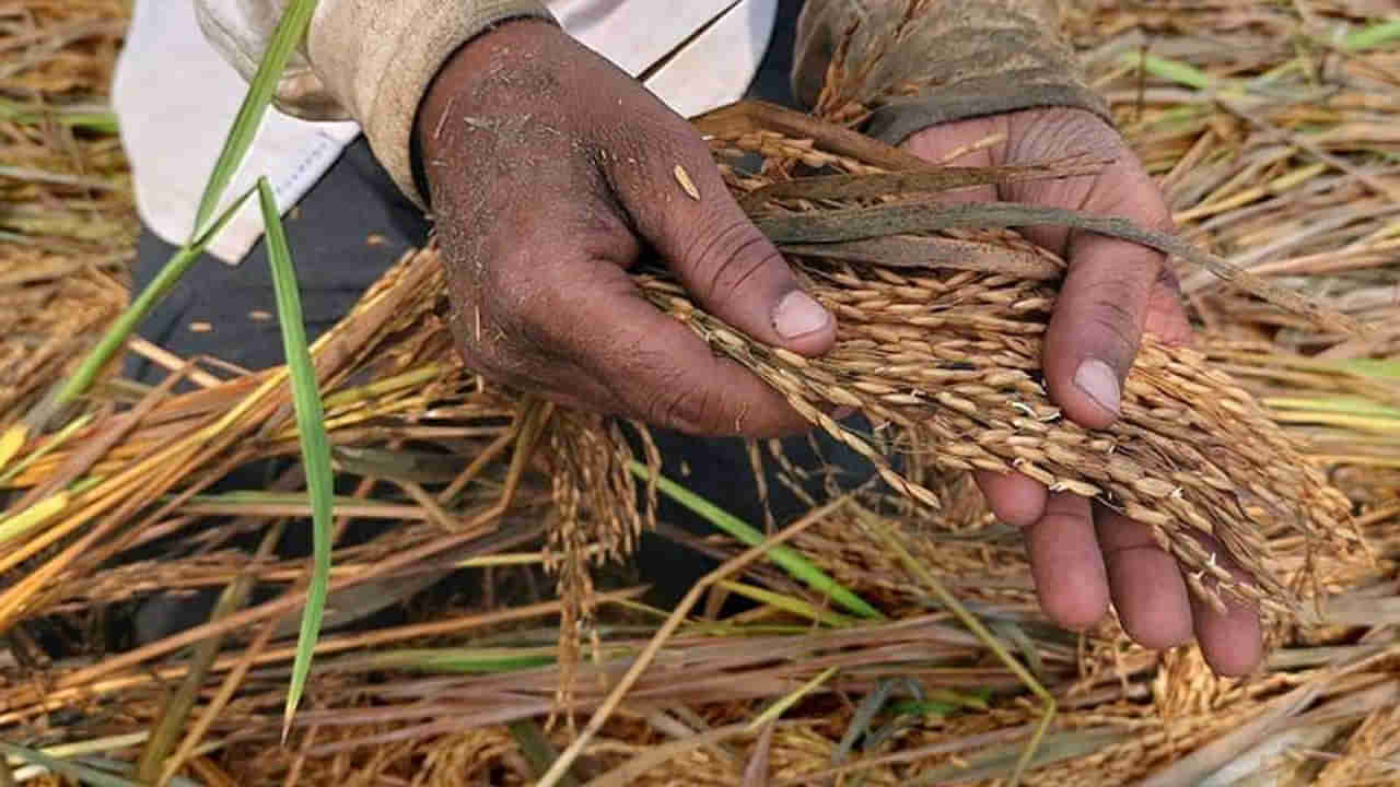 Telangana: మారిన వాతావరణంతో అన్నదాత గుండెల్లో గుబులు..