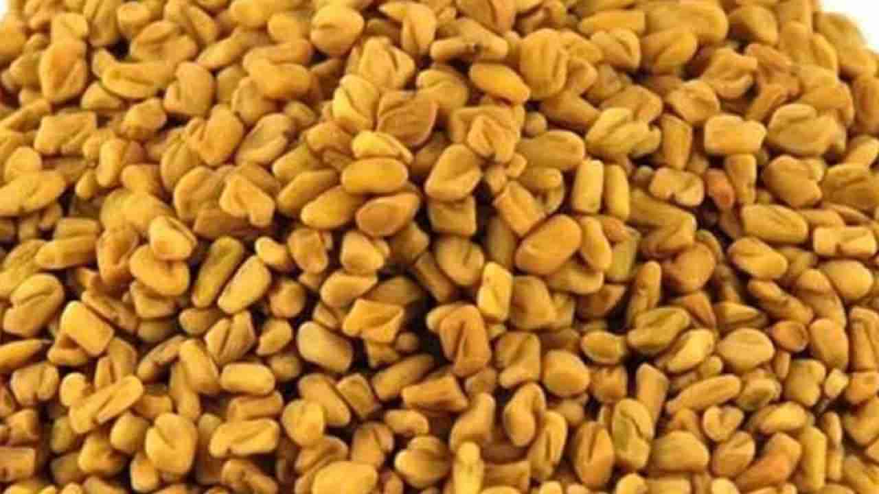 ఈ గింజలు ఏం చేస్తాయిలే అనుకునేరు.. నానబెట్టి ఉదయాన్నే తాగితే ఆ సమస్యలన్నీ హాంఫట్..