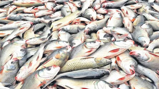 Cyclone Remal: తీరం దాటిన తీవ్ర తుఫాన్.. ఆ ప్రాంతాలన్నీ అల్లకల్లోలం.. బలమైన ఈదురుగాలులు.!