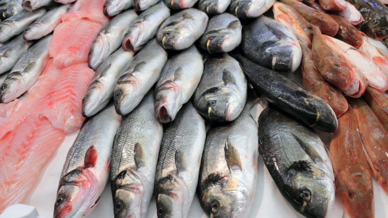 అదే విధంగా స్వార్డ్ ఫిష్, సార్డెన్ ఫిష్,మెకెరల్ ఫిష్లు కూడా శరీరంలో చెడు కొలెస్ట్రాల్ తగ్గించేందుకు చక్కగా పని చేస్తాయి. వీటిల్లో ఉండే పోషకాలు.. గుండె ఆరోగ్యాన్ని మెరుగుపరిచి.. బ్లడ్ ప్రెజర్, బ్లడ్ షుగర్ను అదుపు చేస్తాయి.