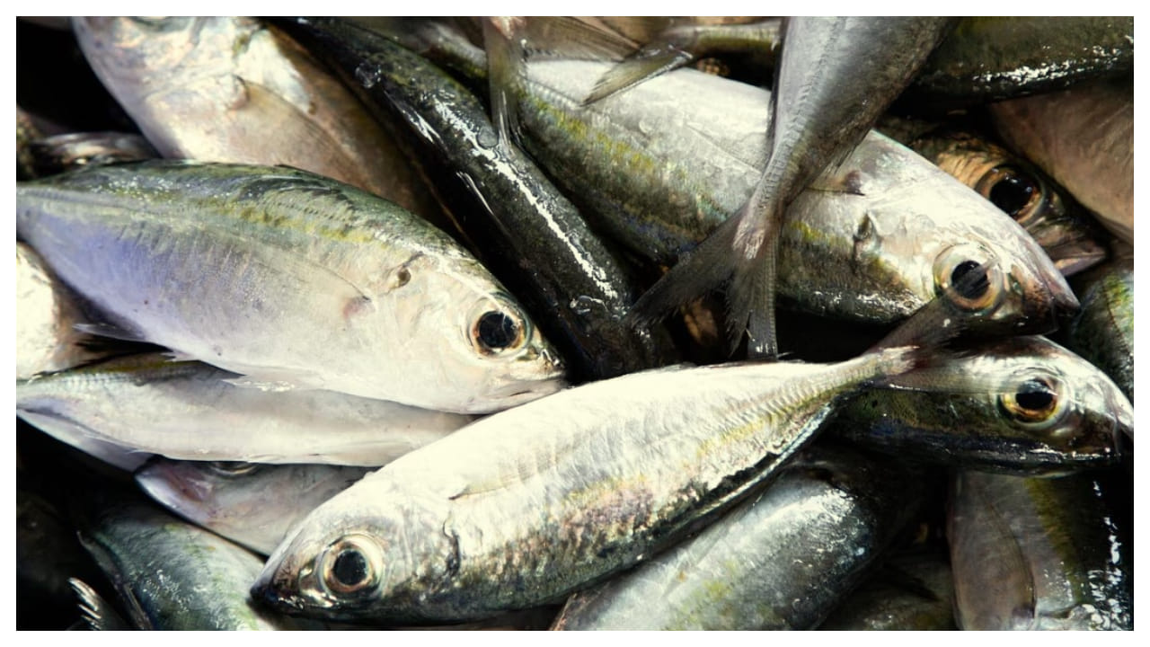 ప్రస్తుత కాలంలో ఎక్కువగా అందరూ ఫేస్ చేసే సమస్యల్లో కొలెస్ట్రాల్ పెరిగిపోవడం కూడా ఒకటి. శరీరంలో చెడు కొలెస్ట్రాల్, గుడ్ కొలెస్ట్రాల్ అనే రెండు రకాల కొలెస్ట్రాల్స్ ఉంటాయి. ఈ రోజుల్లో అనారోగ్యకరమైన ఆహారాలు తినడం వల్ల శరీరంలో చెడు కొలెస్ట్రాల్ స్థాయిలు అనేవి పెరిగిపోతున్నాయి.