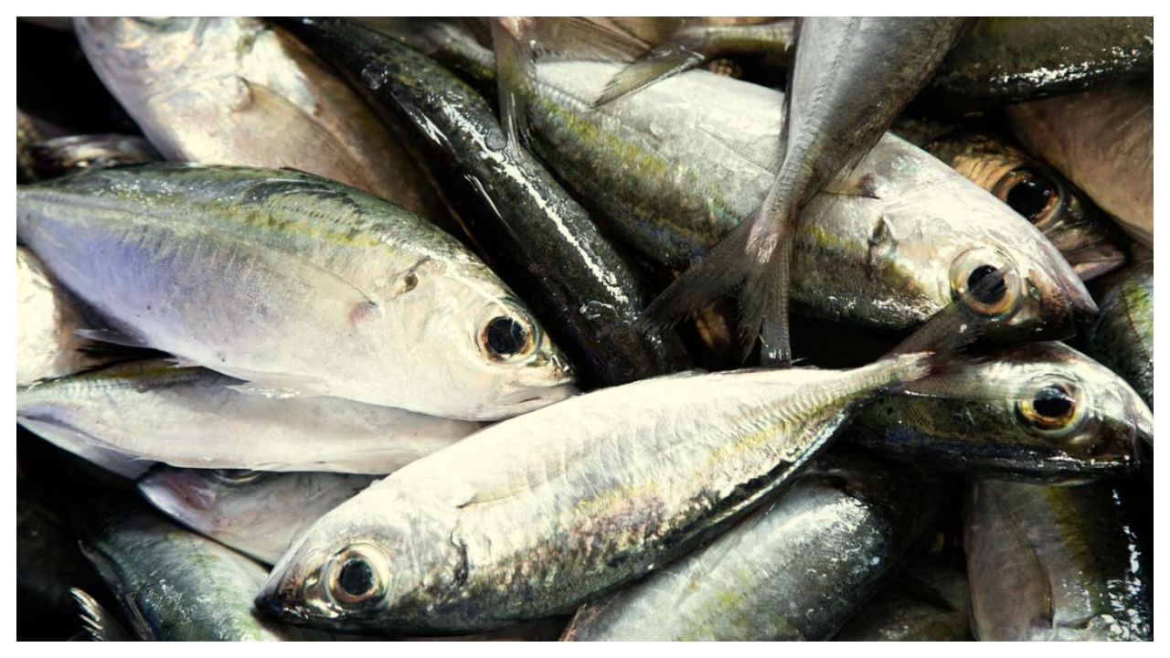 ప్రస్తుత కాలంలో ఎక్కువగా అందరూ ఫేస్ చేసే సమస్యల్లో కొలెస్ట్రాల్ పెరిగిపోవడం కూడా ఒకటి. శరీరంలో చెడు కొలెస్ట్రాల్, గుడ్ కొలెస్ట్రాల్ అనే రెండు రకాల కొలెస్ట్రాల్స్ ఉంటాయి. ఈ రోజుల్లో అనారోగ్యకరమైన ఆహారాలు తినడం వల్ల శరీరంలో చెడు కొలెస్ట్రాల్ స్థాయిలు అనేవి పెరిగిపోతున్నాయి.