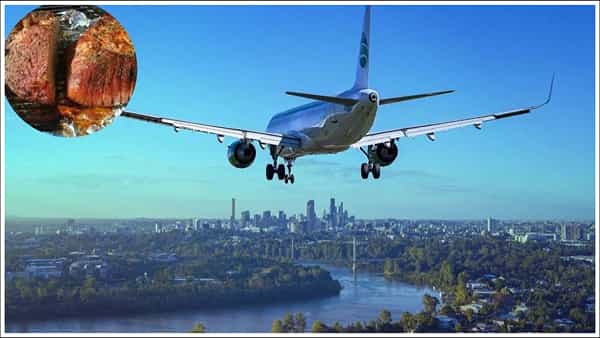 Airport: విమానాశ్రయంలో తనిఖీలు..ప్రయాణికుడి లంచ్బాక్స్లో ఆహారాన్ని చూసి షాక్.. రూ.5 లక్షల జరిమానా