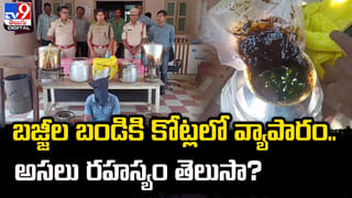 Dry Valleys: ఇక్కడ లక్షల ఏళ్లుగా వానజాడే లేదట..