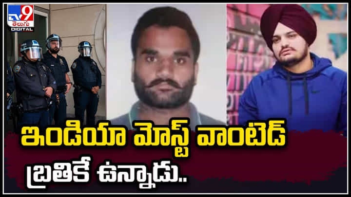 Goldy Brar: గ్యాంగ్స్టర్ గోల్డీబ్రార్ బ్రతికే ఉన్నాడు.! స్పష్టం చేసిన అమెరికా.. Goldy Brar: గ్యాంగ్స్టర్ గోల్డీబ్రార్ బ్రతికే ఉన్నాడు.! స్పష్టం చేసిన అమెరికా..