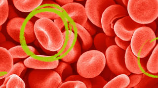 Health: నానబెట్టిన వాల్‌నట్స్‌తో ఎన్నో ప్రయోజనాలు.. రోజూ ఉదయం తింటే..