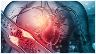 Fruits for Cholesterol: వేసవిలో ఒంట్లో కొవ్వును వెన్నలా కరిగించే పండ్లు.. మర్చిపోకుండా తినాలంటున్న నిపుణులు