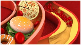 Watermelon: షుగర్‌ పేషెంట్స్‌ పుచ్చకాయ తినొచ్చా.? నిపుణులు ఏమంటున్నారు