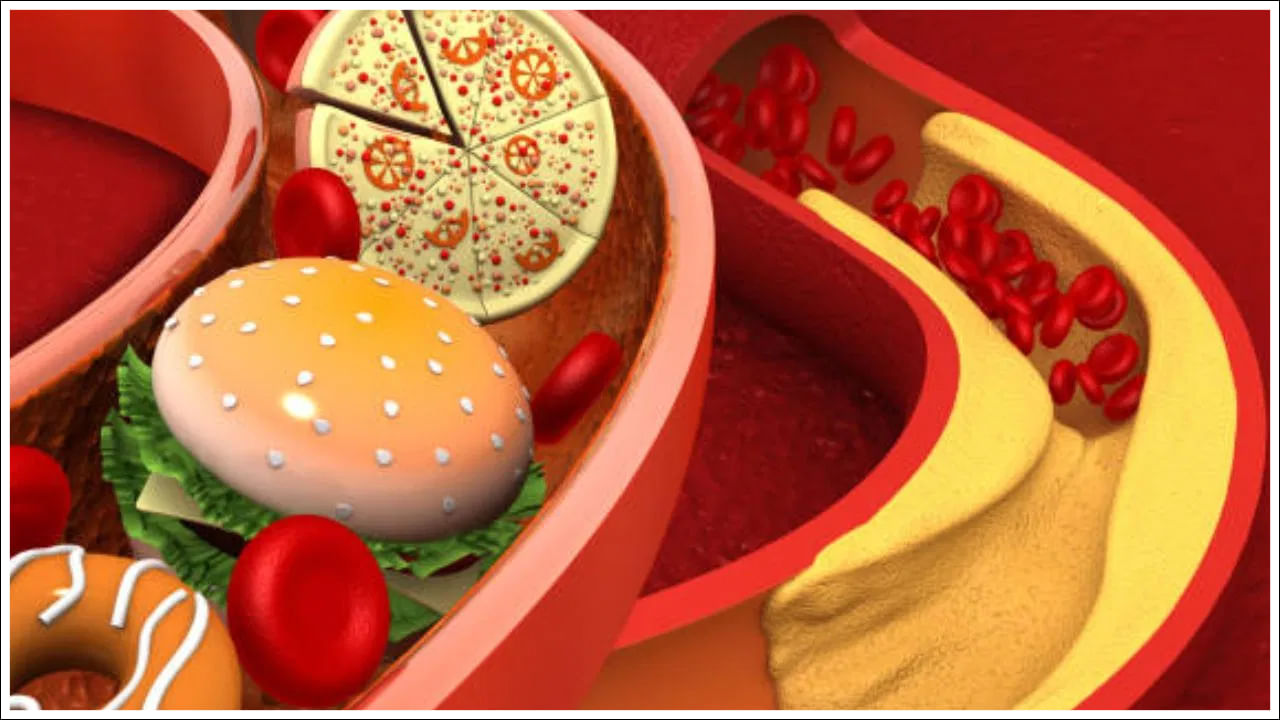 High Cholesterol: వేసవిలో కొలెస్ట్రాల్ పెరుగుతుందా? వైద్యుల షాకింగ్ విషయాలు