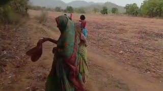 అమ్మబాబోయ్.! అర్ధరాత్రి ఆలయంలో వింత శబ్దాలు.. వెళ్లి చూడగా పూజారి దిమ్మతిరిగిపోయింది..