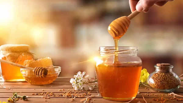 Honey Water: ఉదయాన్నే ఖాళీ కడుపుతో తాగే.. తేనె నీళ్లతో కలిగే ప్రయోజనాలు తెలుసా.. బెస్ట్ డీటాక్స్ డ్రింక్ ఇదే..!