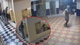 New Ration Cards: కొత్త రేషన్‌ కార్డుదారులకు గుడ్‌న్యూస్‌.. ప్రభుత్వం కీలక ప్రకటన!