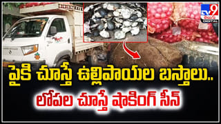 Wearing Helmet in Car: ట్రాఫిక్‌ రూల్సా మజాకా.! కారులో హెల్మెట్ పెట్టుకోలేదని ఫైన్.