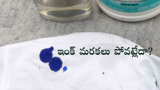 Vastu Tips: చిన్న మార్పులే కానీ జీవితాన్ని మారుస్తాయి.. ఈ వాస్తు చిట్కాలు ఫాలో అయితే..