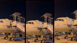 ఈ ఏనుగులు వెరీ స్మార్ట్ సుమీ.. క్రమ శిక్షణతో ట్రక్ ఎక్కిన వీడియో నెట్టింట్లో వైరల్