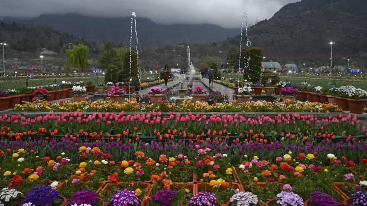 ఇందిరా గాంధీ తులిప్ గార్డెన్: పూలను ప్రేమించని వారు ఎవరూ ఉండరు. మీరు కశ్మీర్ వెళుతున్నట్లయితే ఇందిరా గాంధీ మెమోరియల్ తులిప్ గార్డెన్ని సందర్శించవచ్చు. ఇక్కడ అనేక జాతులకు చెందిన వివిధ రంగుల పువ్వులు మిమ్మల్ని ఆకర్షిస్తాయి.
