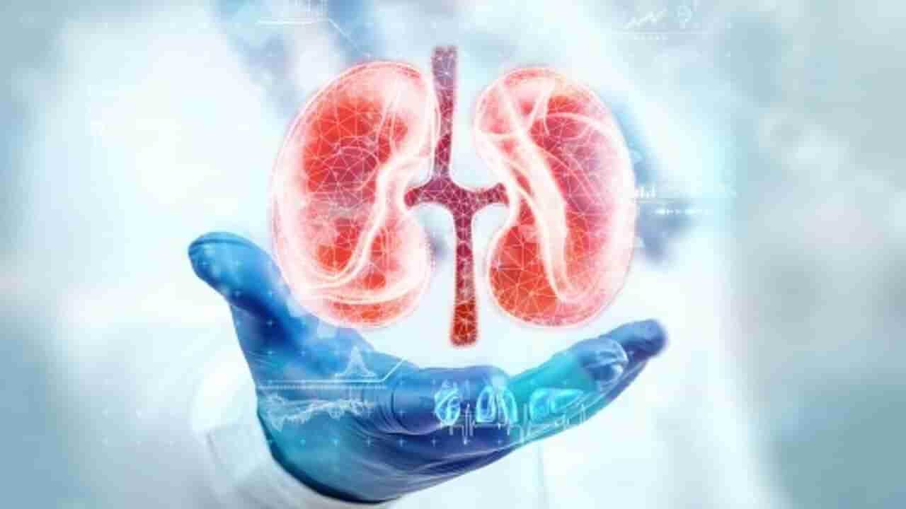 Kidneys Health: మీకు ఈ అలవాట్లు ఉన్నాయా.. మీ కిడ్నీలు ఫెయిల్ అవ్వడం ఖాయం!