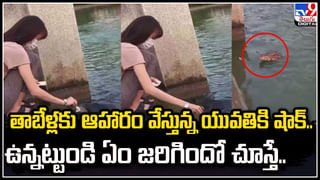 Watch Video: చేతులు లేవని ఇంట్లో కూర్చోలేదు.. ఓటు స్పూర్తిని గొప్పగా చాటాడు..