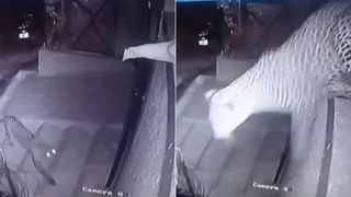 Viral Video: ఈ బోటు బాబాయ్ మాములోడు కాదు.. ఏం చేశాడో మీరే చూడండి..