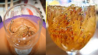 Viral Video: వీధి కుక్కపై యువకుల పైశాచికం.. ఏం చేసారో మీరే చూడండి…!!