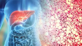 Health: అదీ లెక్క.. ఇది తింటే రక్తం పలుచుగా అవుతుంది.. గుండె జబ్బులు పరార్