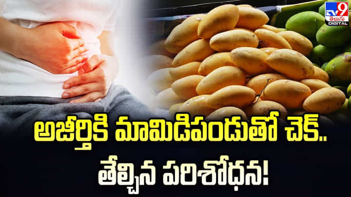 అజీర్తికి మామిడిపండుతో చెక్.. తేల్చిన పరిశోధన అజీర్తికి మామిడిపండుతో చెక్.. తేల్చిన పరిశోధన