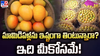 Vomiting While Brush: బ్రష్ చేసేటప్పుడు వాంతులు అవుతున్నాయా.. ఈ వ్యాధులు ఉన్నట్లే!