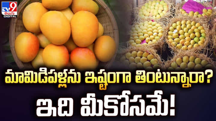 మామిడిపళ్లను ఇష్టంగా తింటున్నారా ?? ఇది మీకోసమే మామిడిపళ్లను ఇష్టంగా తింటున్నారా ?? ఇది మీకోసమే