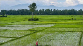 ‘దక్షిణాది ప్రజలు ఆఫ్రికన్లలా కనిపిస్తారు’.. కాంగ్రెస్ నేత శాం పిట్రోడా వివాదాస్పద వ్యాఖ్యలు