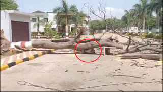 GWMC Mayor: పార్టీ మారిన ఓరుగల్లు మేయర్ కు పదవీ గండం తప్పదా..? మహా నగరంలో ఎవరి బలమెంతా..?