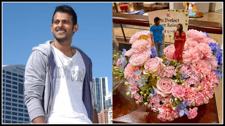 Japan: జపాన్లో మిస్టర్ పర్ఫెక్ట్ హంగామా.. డార్లింగ్ రేంజే వేరు.. Japan: జపాన్లో మిస్టర్ పర్ఫెక్ట్ హంగామా.. డార్లింగ్ రేంజే వేరు..