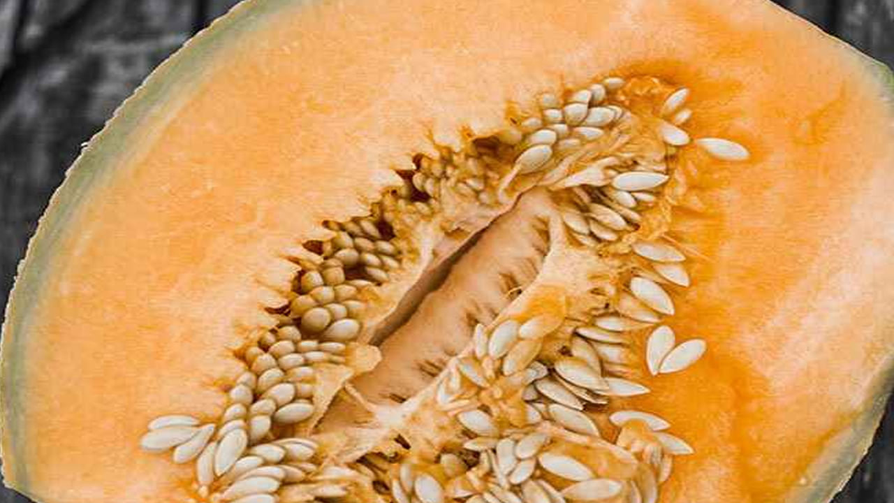 Muskmelon Seeds- కర్బూజ గింజల్లో విటమిన్ సి అధికంగా ఉంటుంది. దీన్ని తినడం వల్ల రోగనిరోధక శక్తి పెరుగుతుంది. కొన్ని గింజలను నోటిలో వేసుకుని తింటే కొన్ని రకాల వ్యాధులు రాకుండా ఉంటాయి. ఇన్ఫెక్షన్‌లను దూరంగా ఉంచుతాయి. 