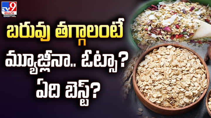 బరువు తగ్గాలంటే మ్యూజ్లీనా.. ఓట్సా ?? ఏది బెస్ట్ ?? బరువు తగ్గాలంటే మ్యూజ్లీనా.. ఓట్సా ?? ఏది బెస్ట్ ??